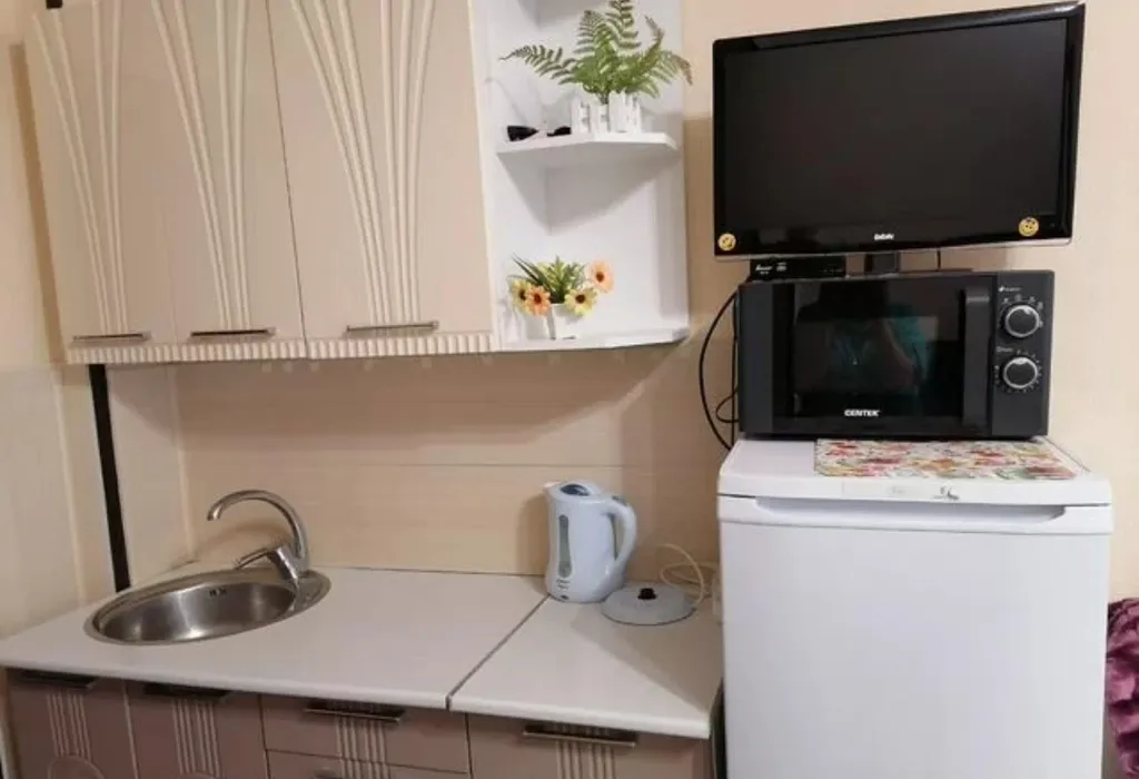 Квартира 1-комнатная Квартира — Сириус