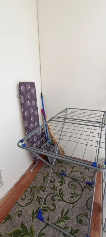 Тропическая студия в центре