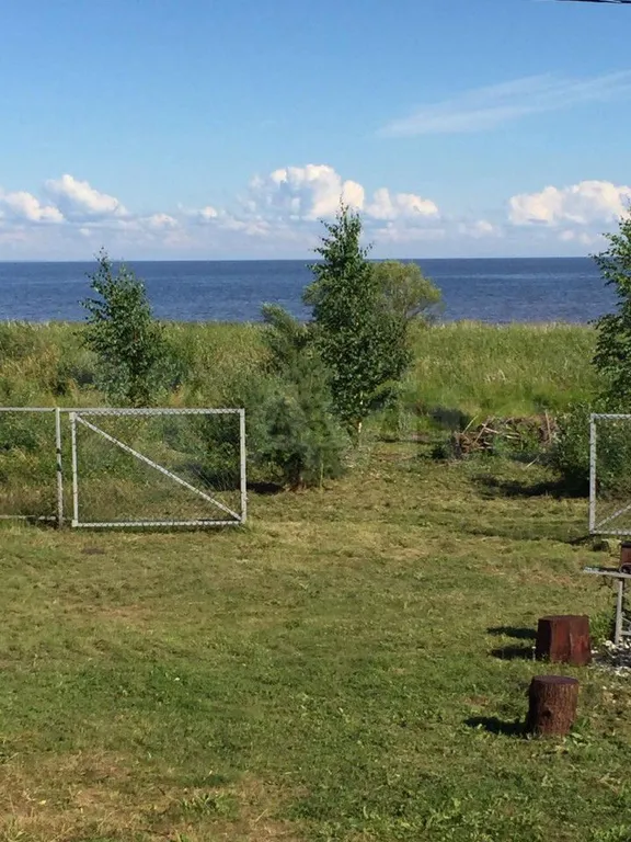 Дом на озере Ильмень