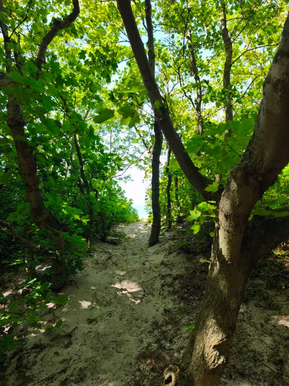 Новый деревянный современный дом в 2 минутах от моря