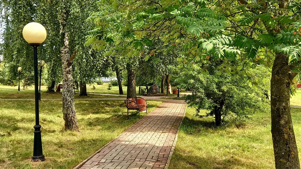 Подсолнух у моря