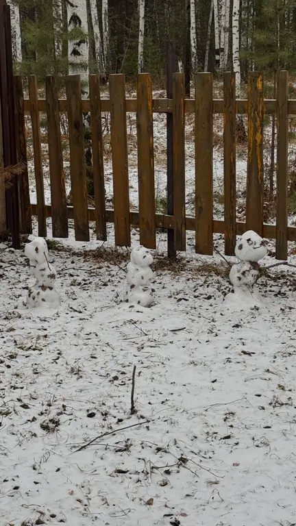 Дом Тихий Бор в березовом лесу