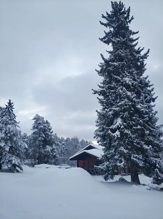 Финский Дом