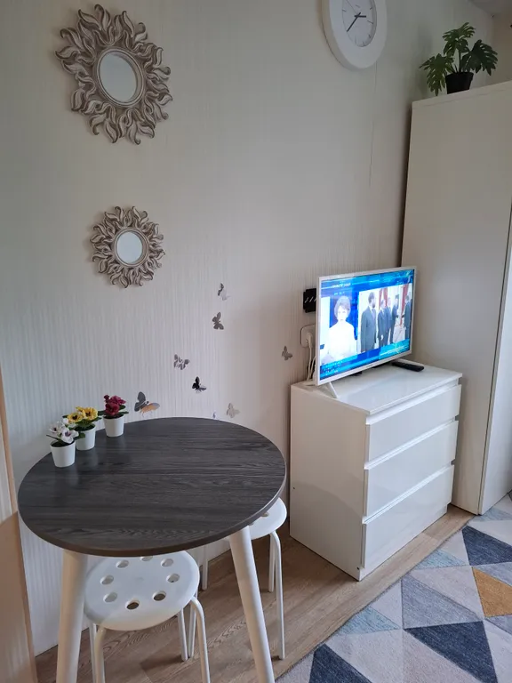 Квартира Комфортабельная студия в центральном районе — аренда посуточно в Казань