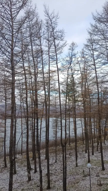 Уютная студия с красивым видом на озеро Банное