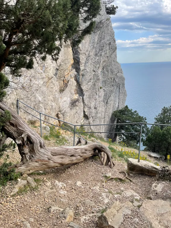 Эллинг-студия с видом на море, Восточная набережная