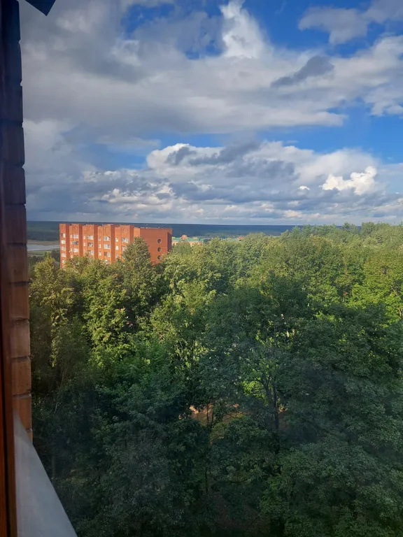 Квартира Коралл