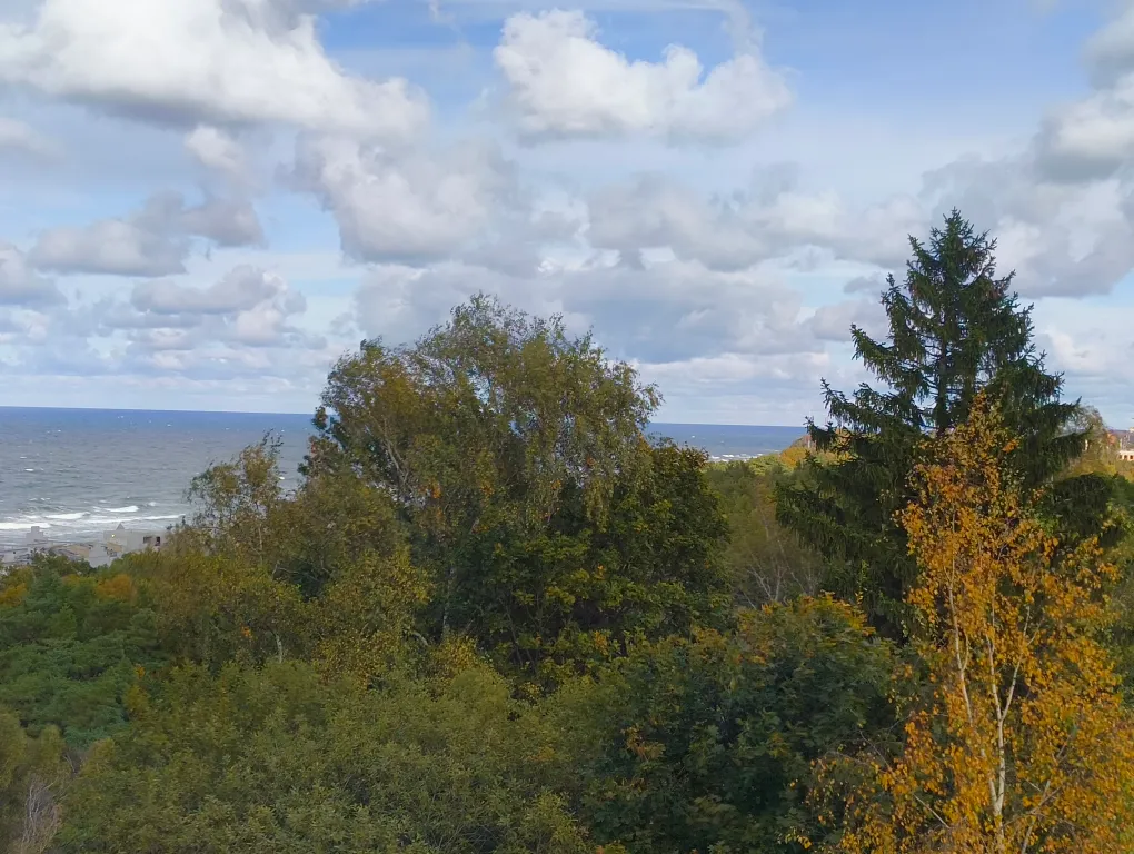 Квартира Квартира Raushen Elegance apartments — Светлогорск