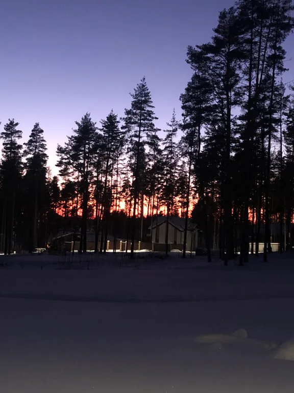 Домик в лесу