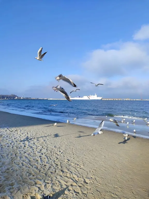 Уютная студия РУСАЛОЧКА  - Вы и Балтика!