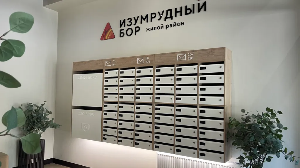 Квартира с видом на сосновый лес