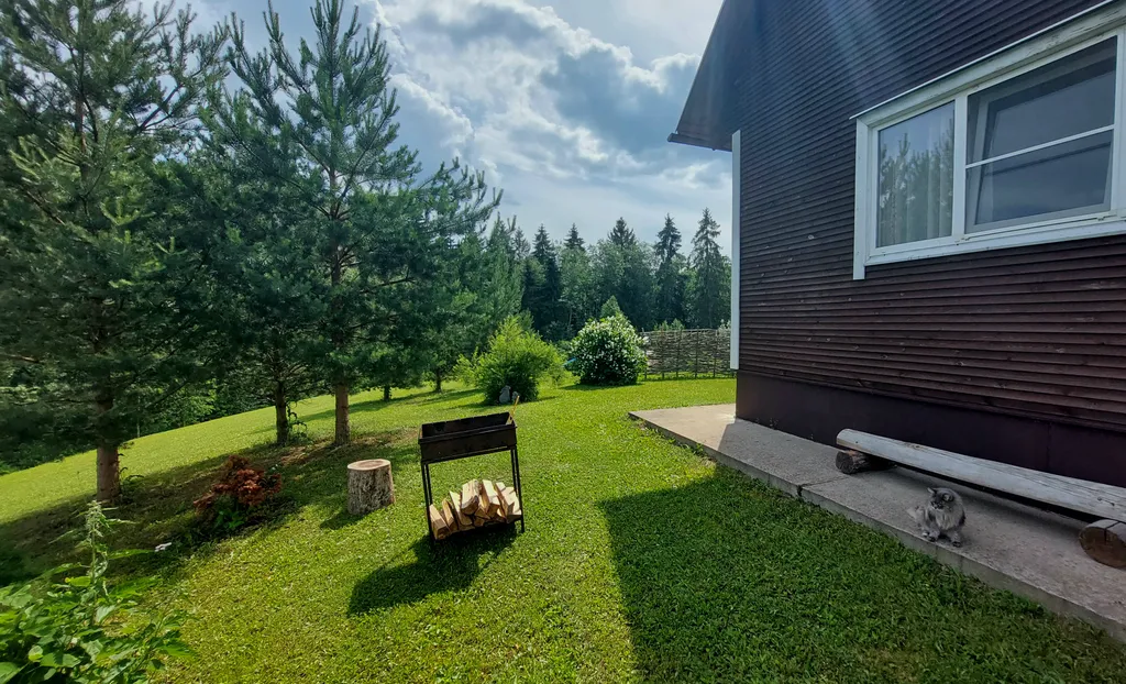 Коттедж Домик у леса, баня, озеро — Домкино