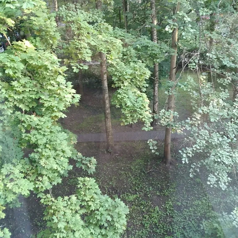 Квартира Уютная квартира, удобная транспортная доступность, зелёный микрорайон — Пушкин