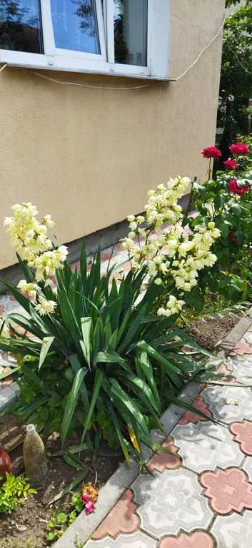 Домик в деревне