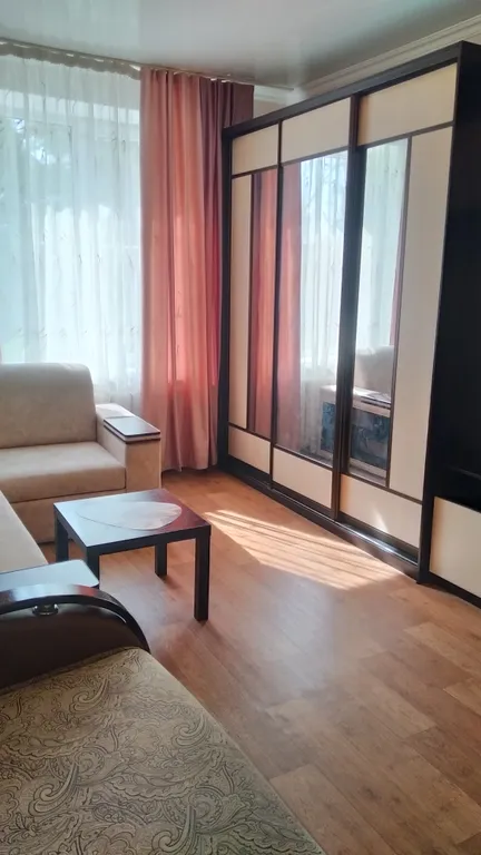 Большая однушечка со спальным местом на кухне рядом с центром