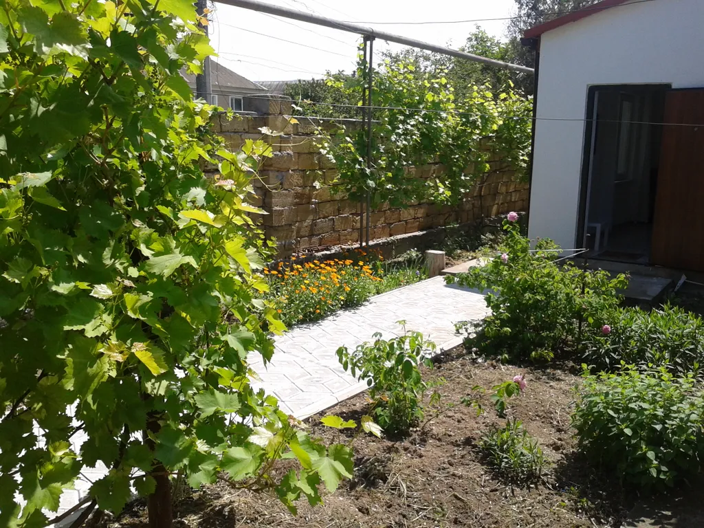 Комфортабельный номер