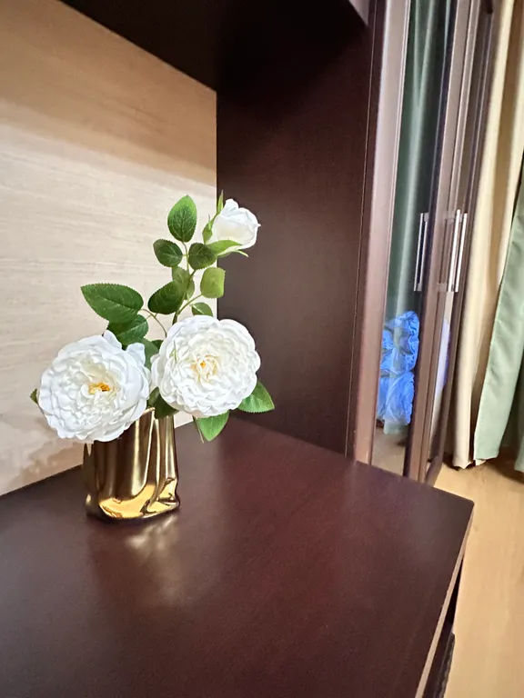 2-комнатная квартира по дороге в Суздаль