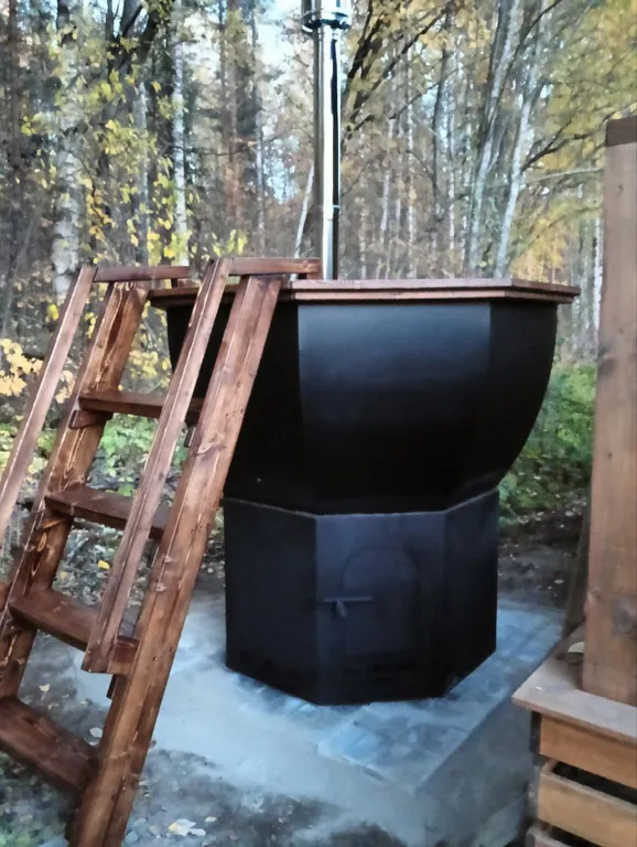 Дом с чаном и панорамными окнами с видом на лес