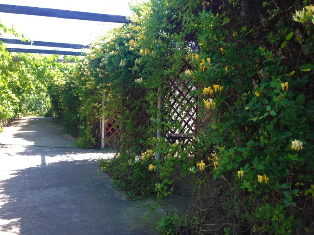 Студия у моря