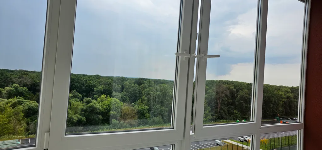 Студия с видом на лес