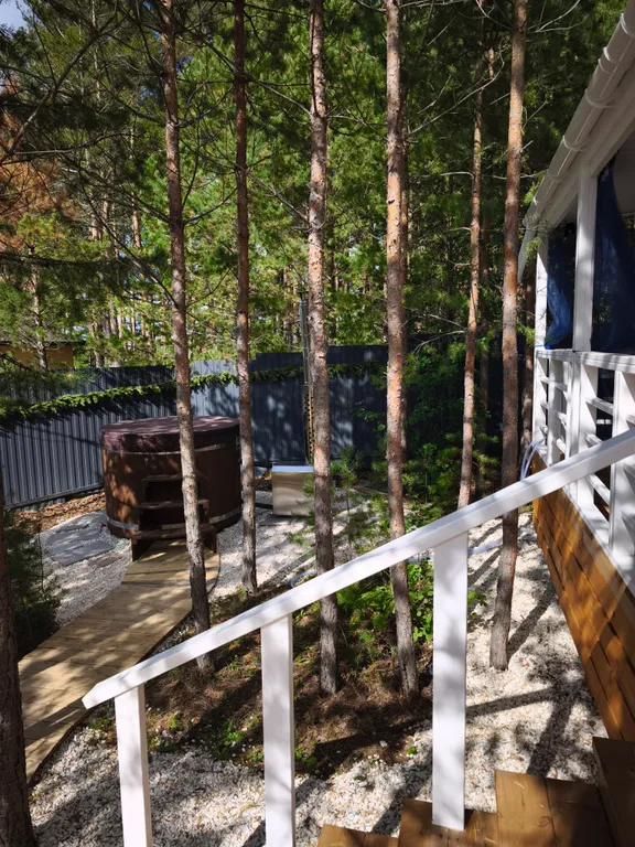 Дом с купелью в сосновом лесу