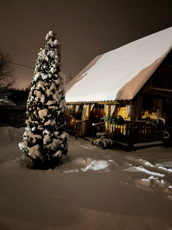 Домик в лесу с баней