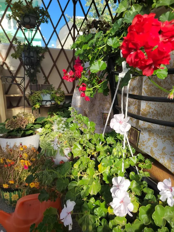 Коттедж Отдельная часть дома с беседкой рядом с парком и пляжем Учкуевка — Севастополь