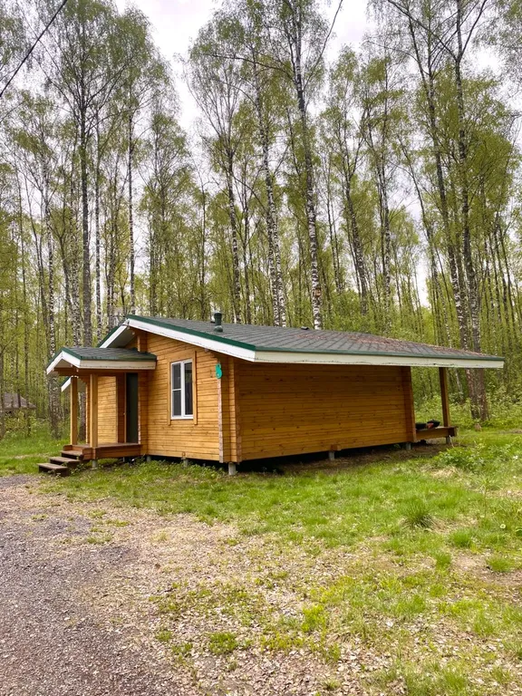 Шале в лесу в Подмосковье со всеми удобствами