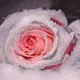 Наталья