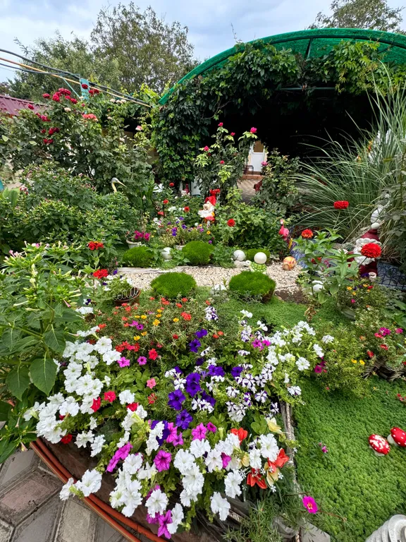 Уютные апартаменты