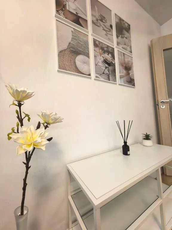 Scandinavian Style Apartment