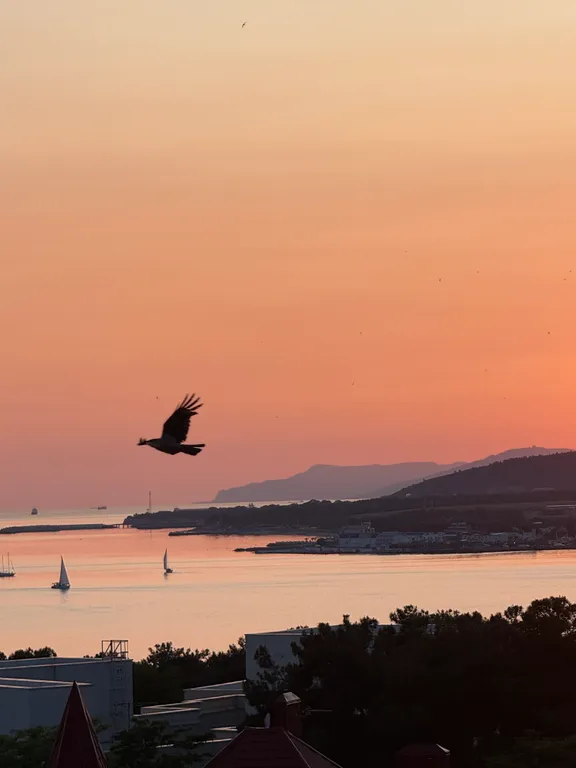 Квартира Апартаменты с видом на море около отеля Метрополь — Геленджик