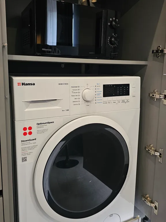 Студия у Псковского Кремля