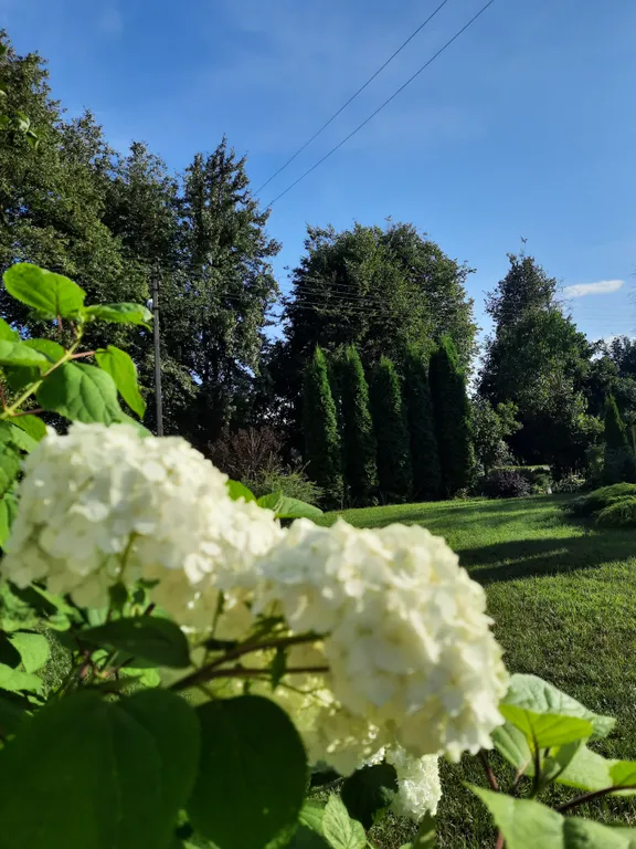 Усадьба со всеми удобствами