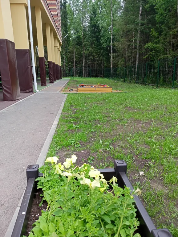 Стильная студия в новом доме комфорт класса ЖК Лес