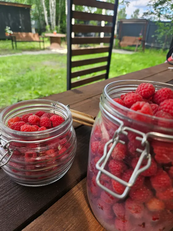 Загородный дом под соснами с сауной и чаном