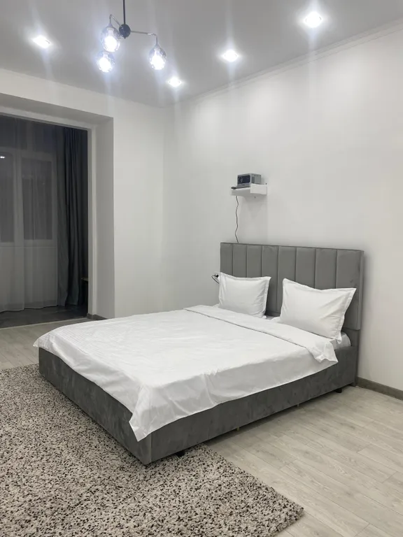 1-комнатная квартира с проектором