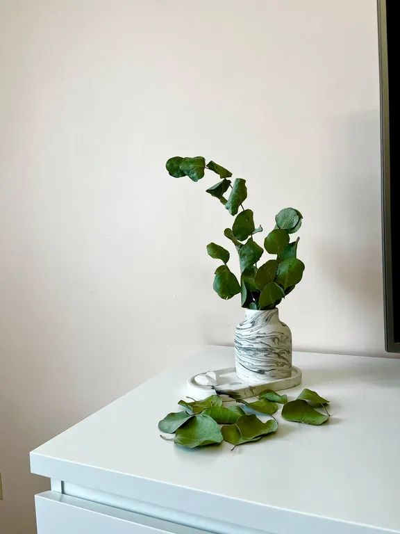 Прекрасные апартаменты для  гостей