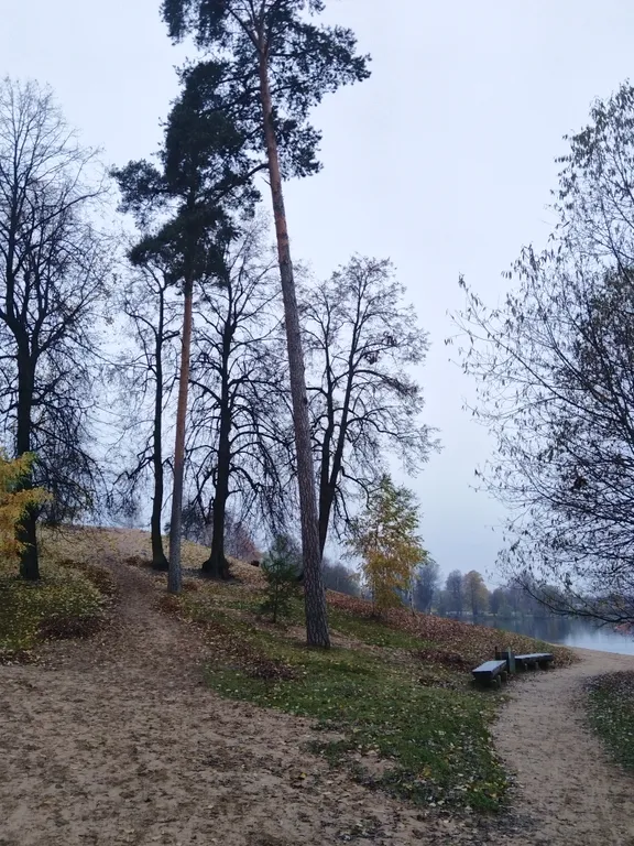 Отличная квартира у метро Озерки