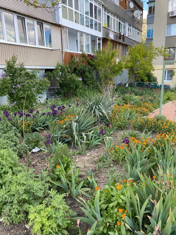 3-х комнатная квартира у моря