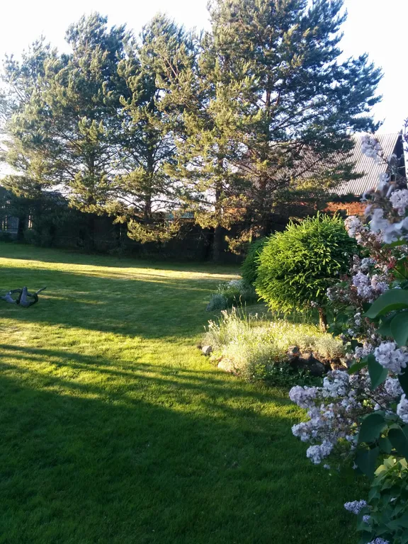 Коттедж Гостевой дом Илму с баней — Нижние Виданы