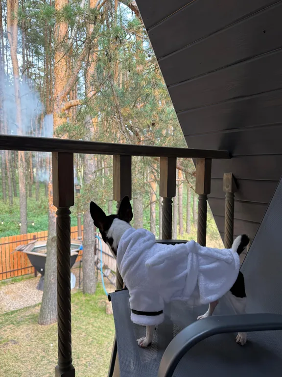 Большой треугольный домик с камином, с ванной у окна с видом на лес