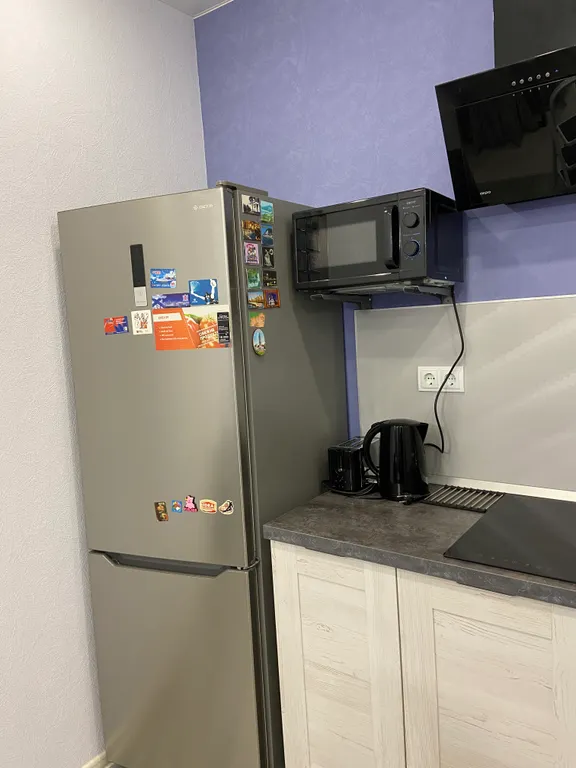 Апартамент с видом на Онежское озеро