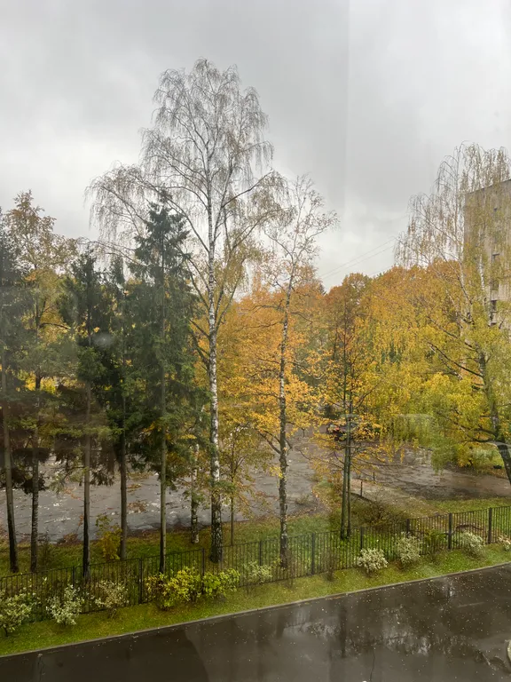 Гостеприимная малышка