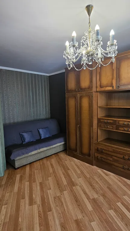 Большая просторная квартира с гостинной