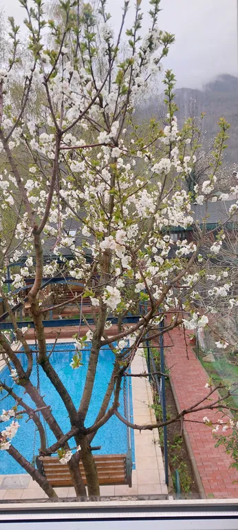 Гостевой дом в сердце Красной поляны