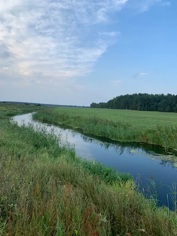 Шале Можжевеловое