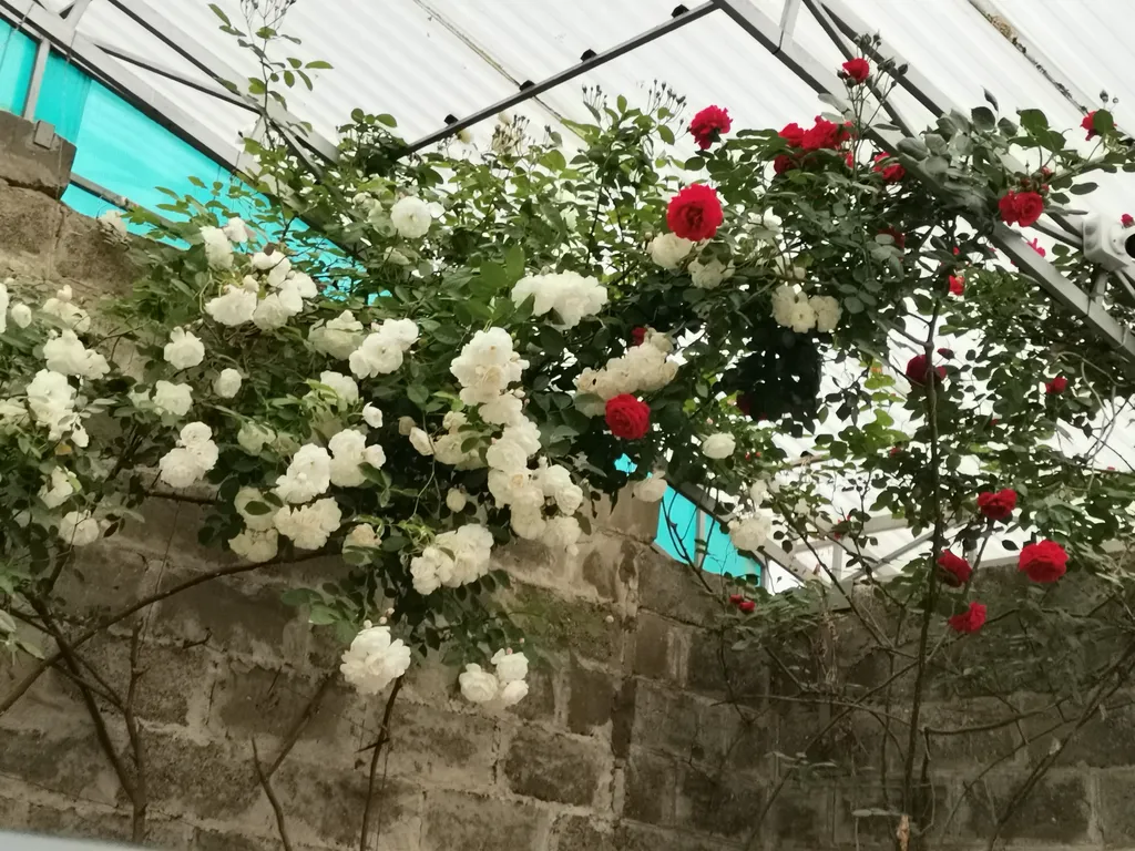 Коттедж Уютный 2-х комнатный дом, рядом с парком — Кисловодск