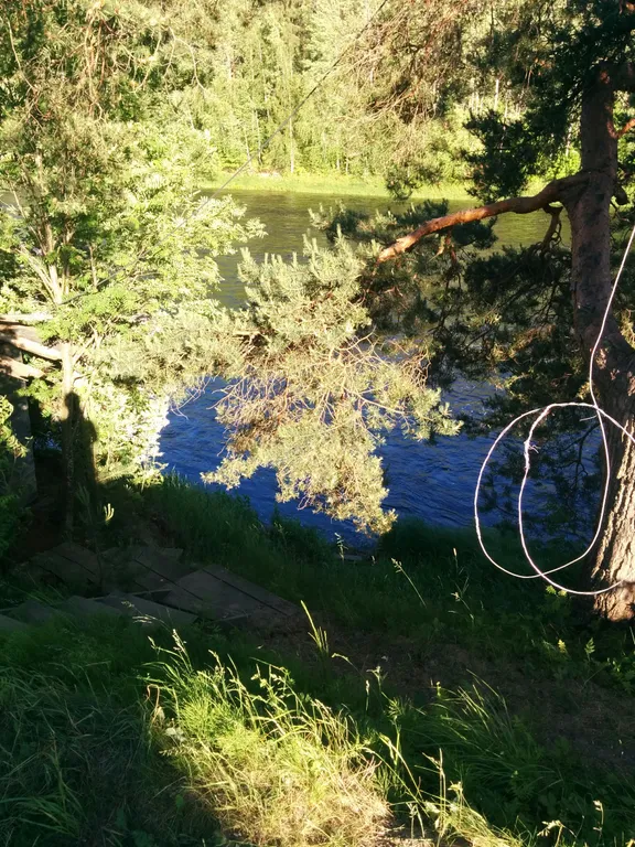 Коттедж Гостевой дом Илму с баней — Нижние Виданы