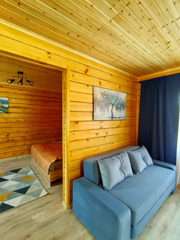 Эко вилла панорамная